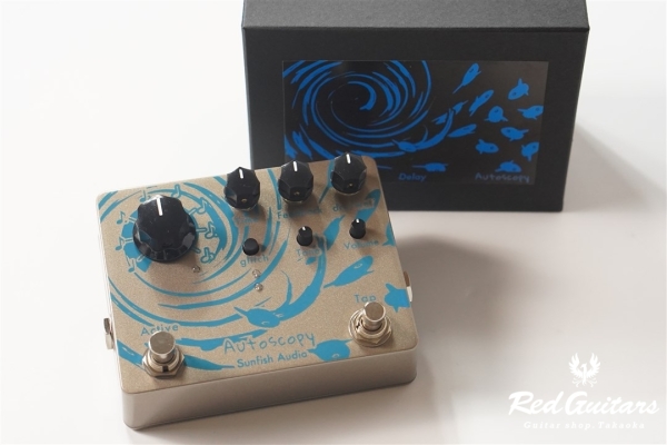 Autoscopy - Delay